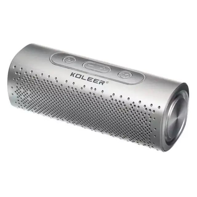 Koleer S819 Bluetooth 5.0+EDR Portable Speaker – Deep Bass, 1200mAh Battery, FM Radio, USB/TF/AUX Support (Silver)